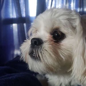 Meet your Posher, Kendall